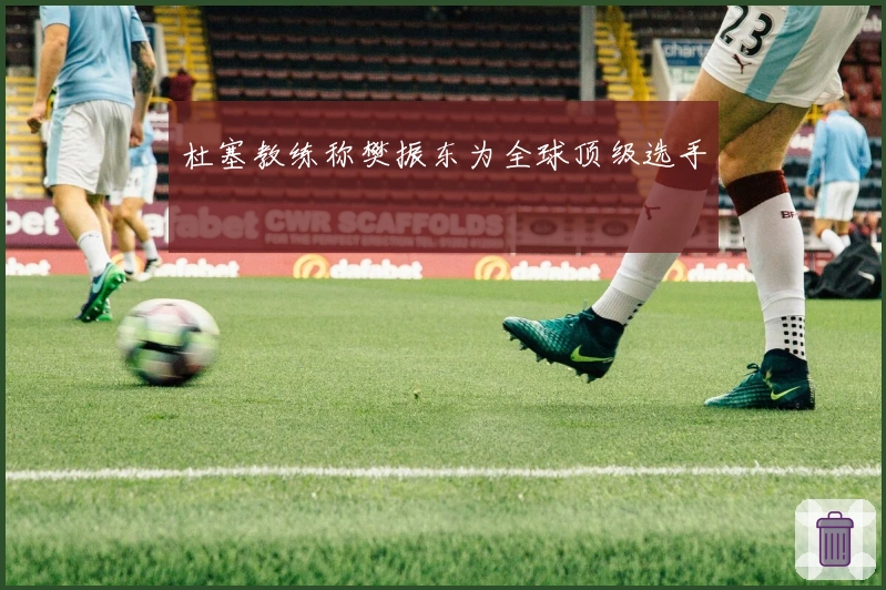 杜塞教练称樊振东为全球顶级选手