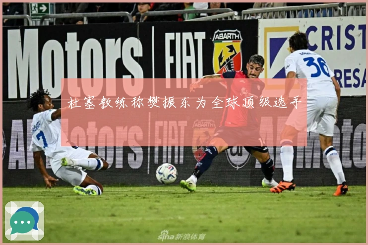 杜塞教练称樊振东为全球顶级选手