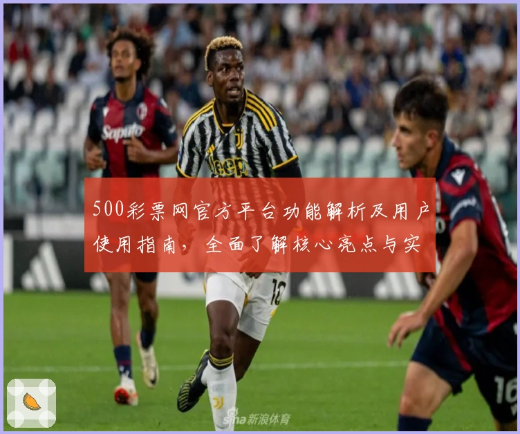 500彩票网官方平台功能解析及用户使用指南，全面了解核心亮点与实用技巧
